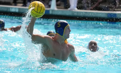 Cole Francisco