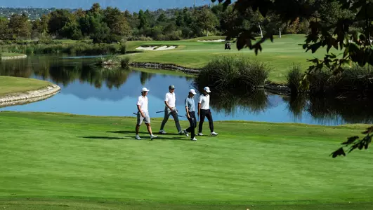 Four golfers walking on the course