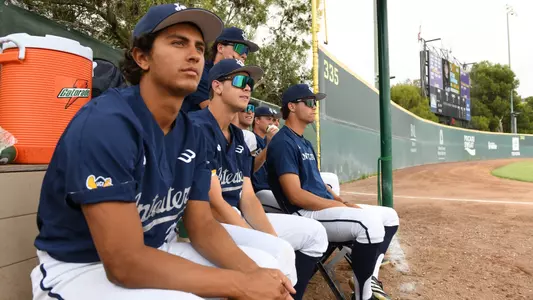 Peyton Rodgers, Dane Grant, Trevor Hansen, and other Anteater pitchers look on from the bullpen in a game against Cal Poly