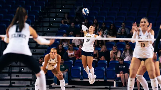 Madison Triplett jump serving in an NCAA women's volleyball match.