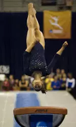 Vanessa Zamarripa Profile