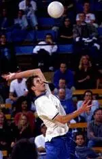 Mark Williams' Final Four Diary