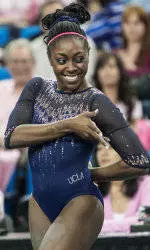 Seven Gymnasts Earn All-America Honors
