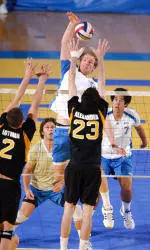 Three Men's Volleyball Players Earn Academic Honors