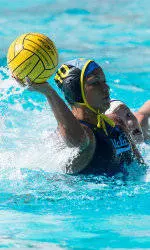 Fattal Named MPSF Newcomer of the Year