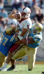 Bruins Blank Cardinal 21-0