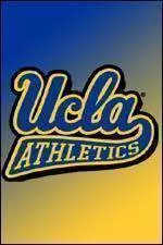 U.S. Volleyball Team Advances to Semifinals