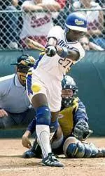 Natasha Watley Wins Honda Sports Award for Softball