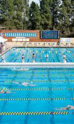 Incoming Bruin Swimmer Wins Irish National 50 Freestyle Crown
