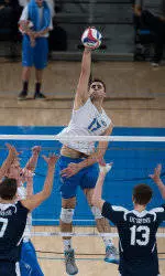 Three Bruins Earn AVCA All-America Honors
