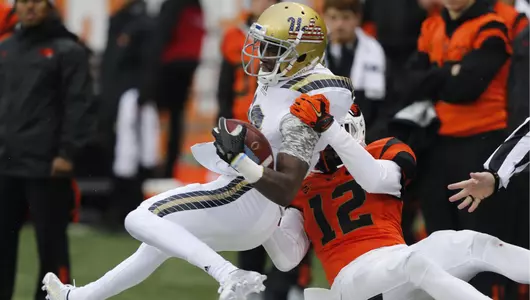 No. 22 Bruins Rout Beavers, 41-0