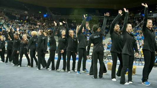 The 2015 UCLA Gymnastics team (photo by Katie Meyers)