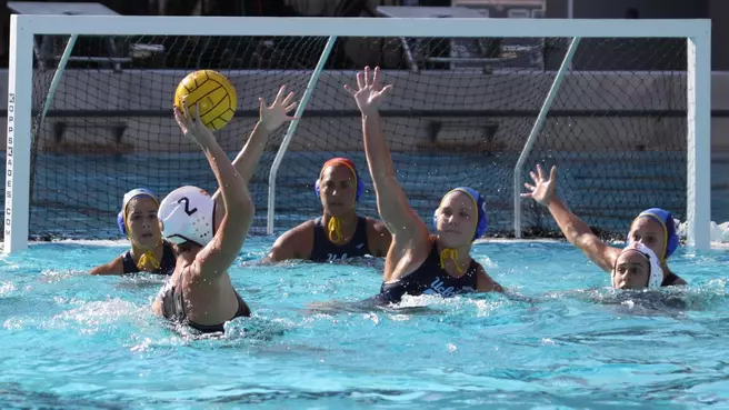 No. 2 Bruins Meet Roadrunners in MPSF Quarterfinals Friday