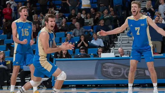 Volleyball Celebration