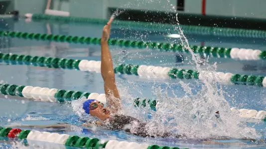 Linnea Mack 100 Back