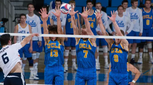 Bruin Block