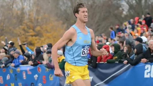 Lane Werley at the 2015 NCAA XC Championships (photo by Ricky Bassman)