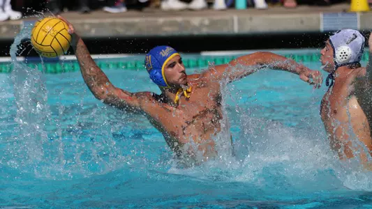 Nicolas Saveljic