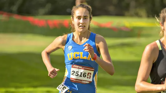Adler_XC