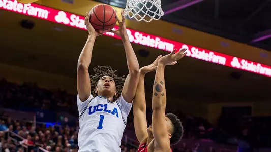 Brown vs Arizona 012619 (SC)