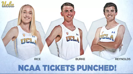 2019 NCAA Cross Country Qualifiers