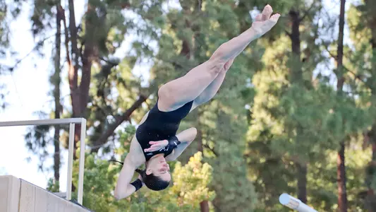 Belanger 2019 BDI RQ