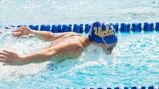 UCLA Swim and Dive