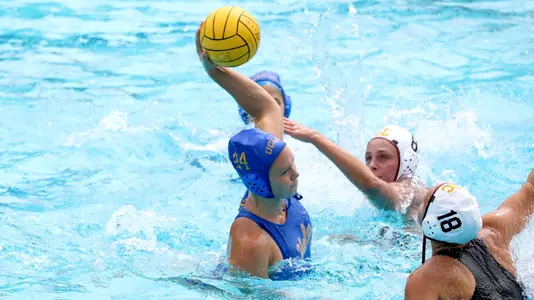 Lexi Liebowitz