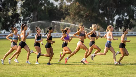 Dellinger Invite Preview