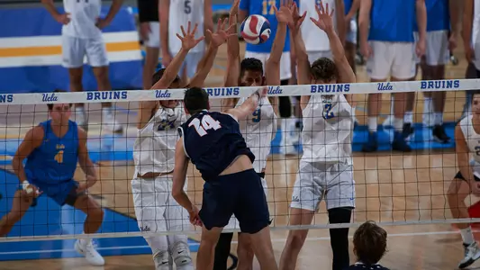 UCLA men's volleyball