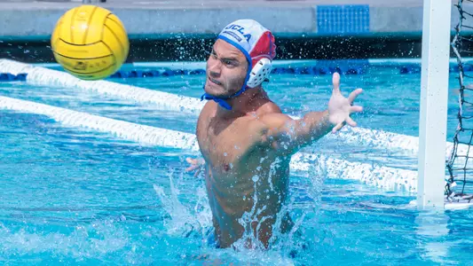 Bernardo Maurizi