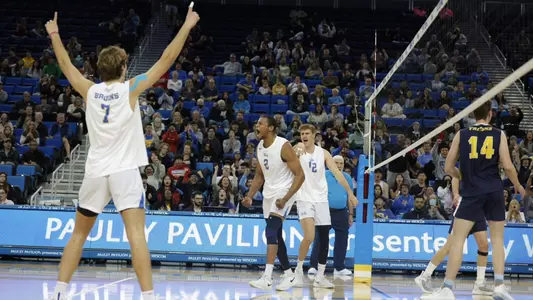 Celebration Men's Volleyball