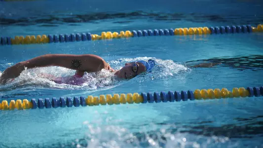 UCLA Swim and Dive