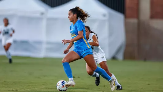 Ally Lemos