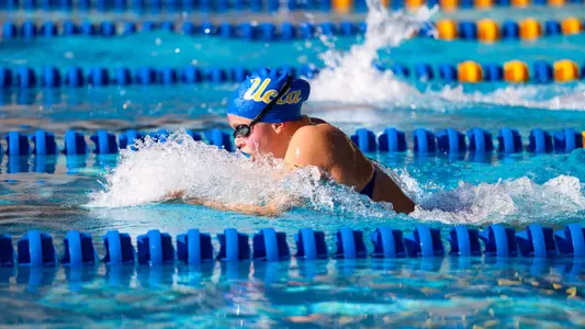 UCLA Swim and Dive