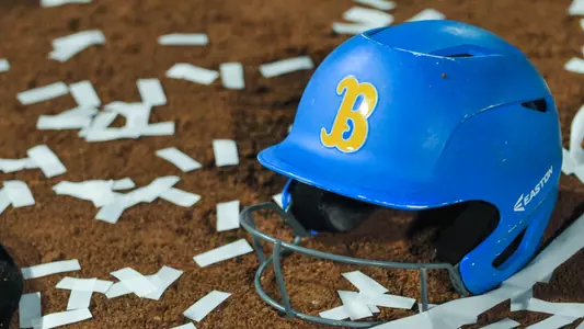 Softball Helmet - Stock Photo