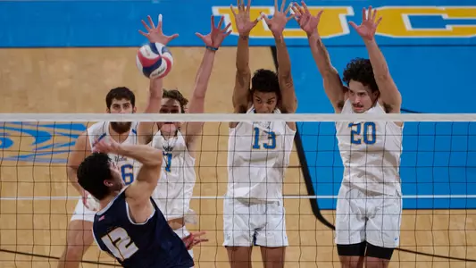 UCLA Men's Volleyball - 2024