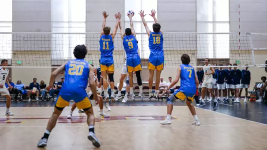 UCLA Men's Volleyball - 2024