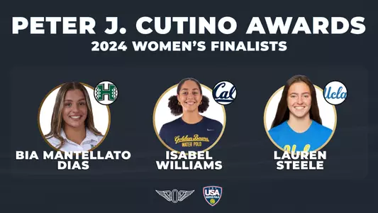 Lauren Steele Cutino Award Graphic