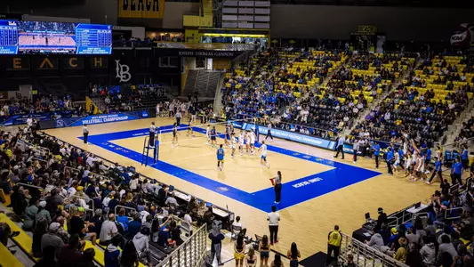 2024 NCAA Men's Volleyball
