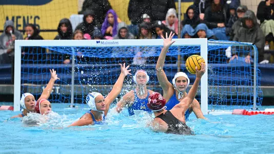 2026 UCLA WWP