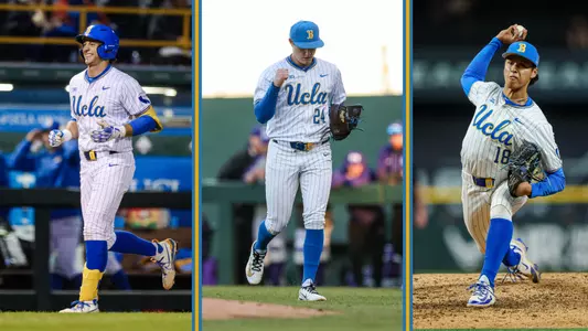 CholowskyReddemannMoss