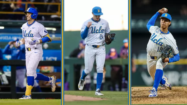 CholowskyReddemannMoss