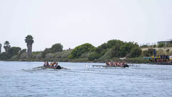 Women's Rowing