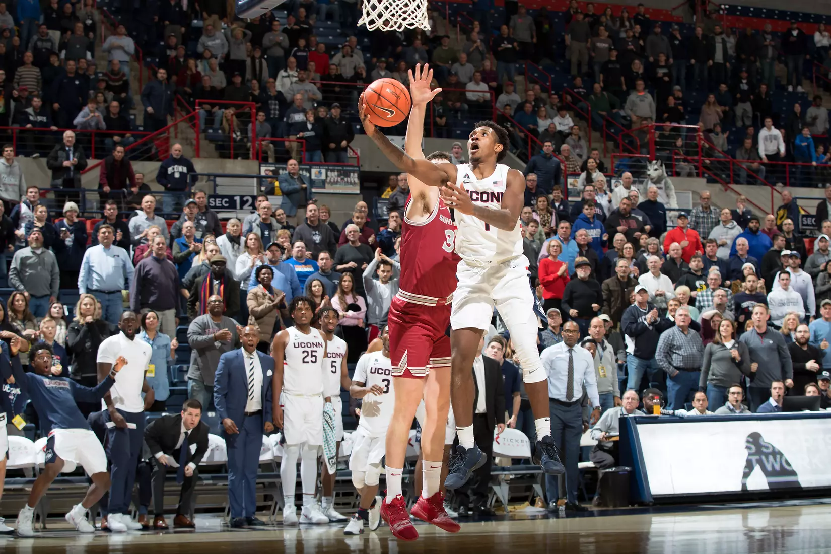 Uconn vs St Joseph's 11/13/19