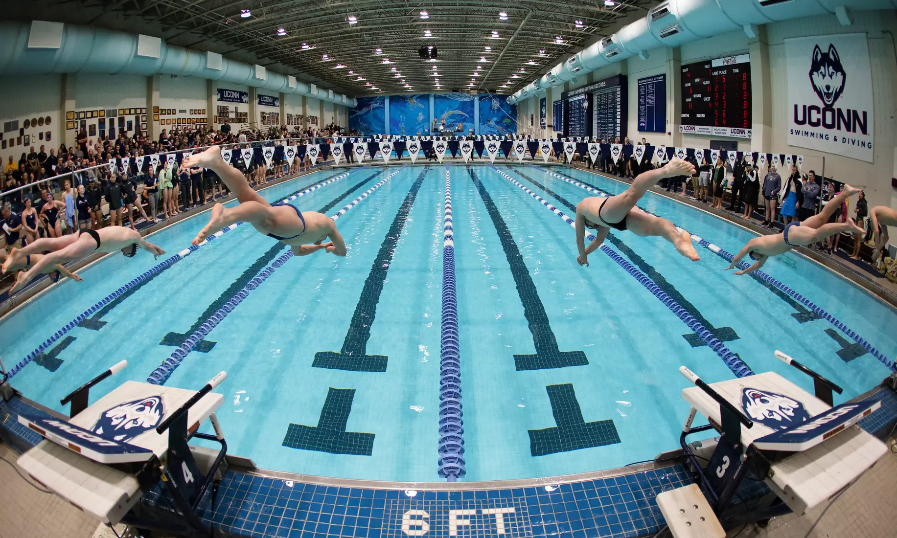Swimming/Diving vs Army 11/2/19