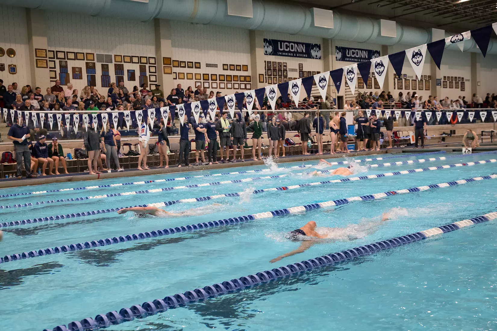 Swimming/Diving vs Army 11/2/19