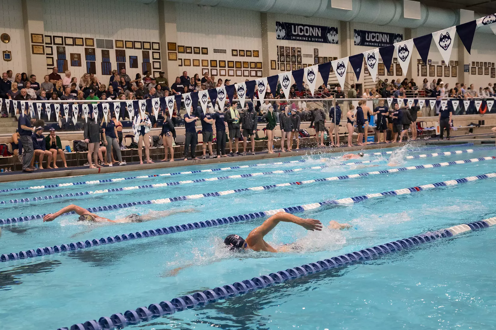 Swimming/Diving vs Army 11/2/19