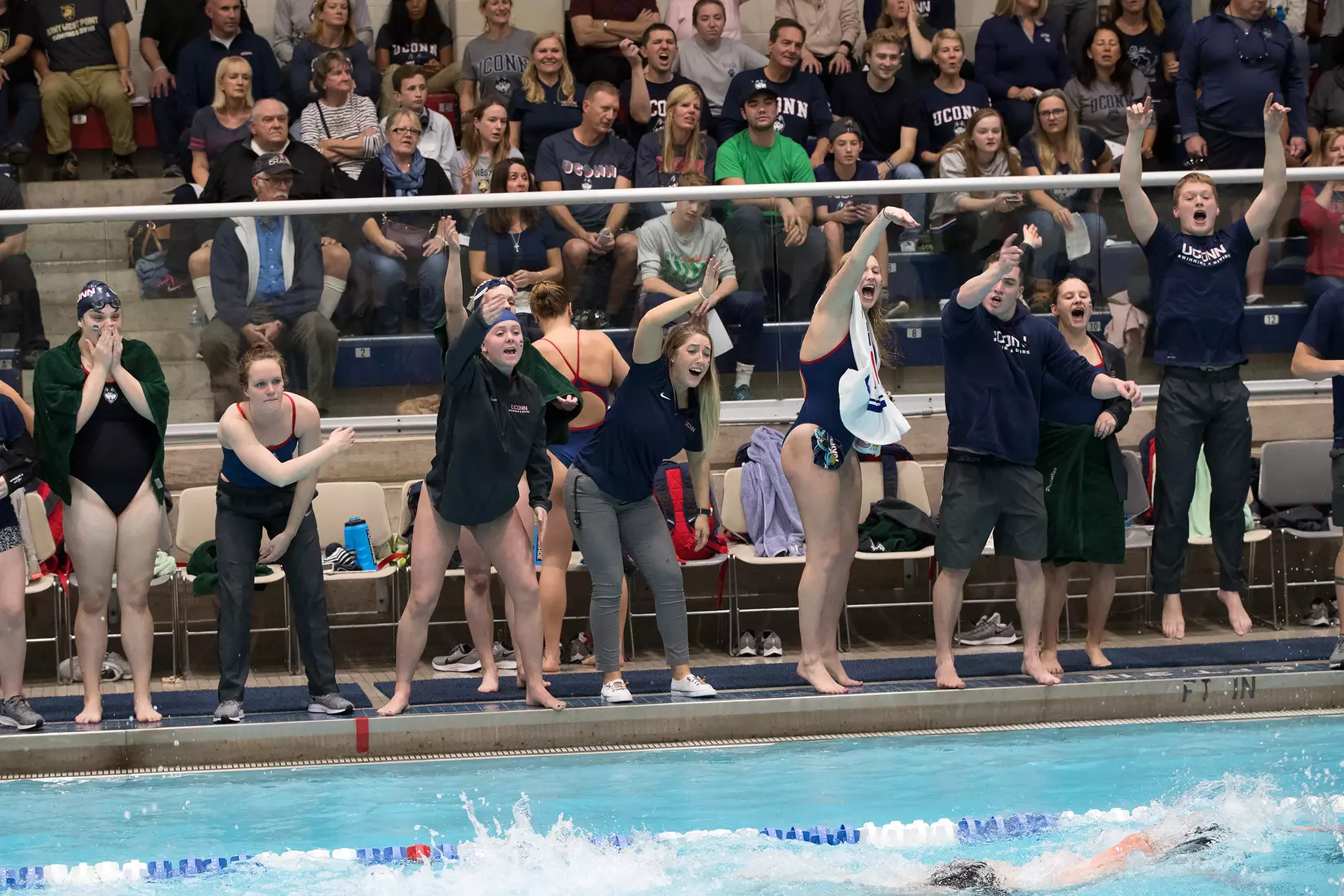 Swimming/Diving vs Army 11/2/19