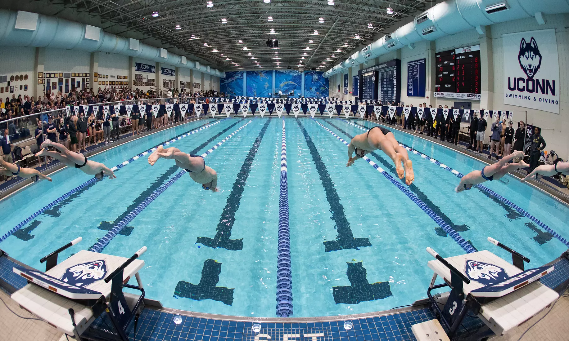 Swimming/Diving vs Army 11/2/19